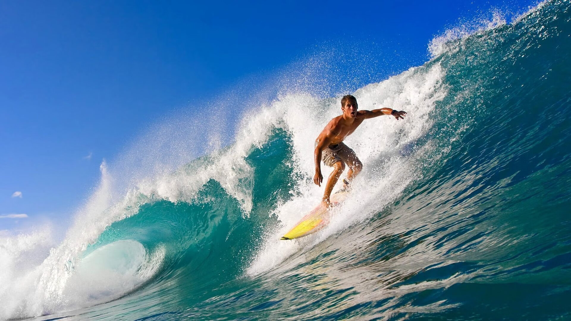 “湾区杯”象棋大棋士赛期间举办象棋文化主题讲座