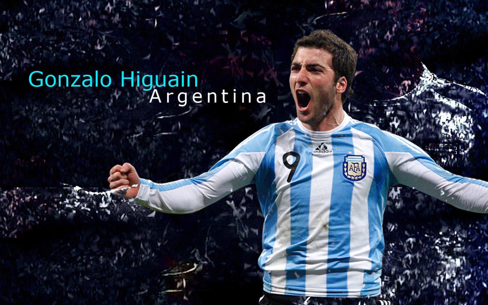 开云网页版-球迷对赛事关注度提升，热情高涨，球迷对球队和运动的重要性是什么